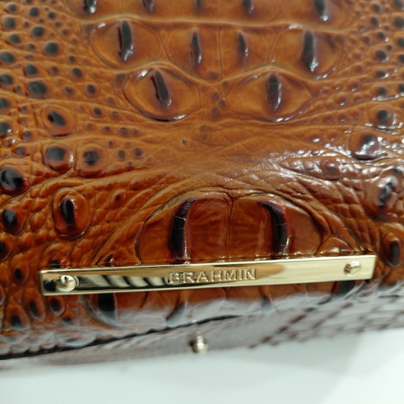 Finley Carryall in Pecan by Brahmin - Picture 8 of 15